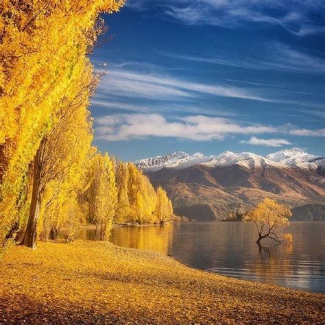 Fall In Lake Wanaka New Zealand Photo By Danielkordan Napoleon Hill