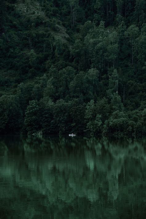 Nature Aesthetic Dark Green Wallpaper Aesthetic We Have A Massive