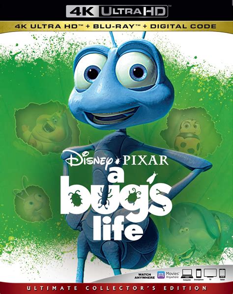 A Bug S Life Dvd Release Date