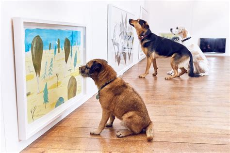 The Artist Behind The First Art Exhibit For Dogs Just Wanted Everyone