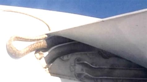 Snake On A Plane Python Clings To Wing During Flight Latest News