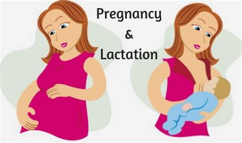 Pregnancy And Lactation The Wellness Corner