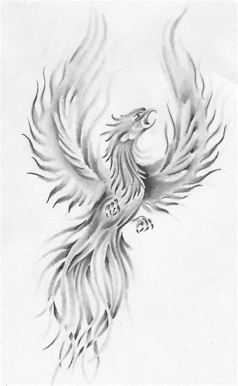 Phoenix Drawing With Shadows Phoenix Drawing Phoenix Tattoo Men