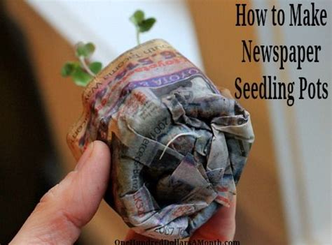 How To Make Newspaper Seedling Pots One Hundred Dollars A Month