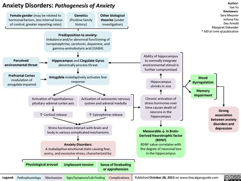 Pathogenesis Of Anxiety Disorders Anxiety Disorders Grepmed