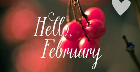 February Hd Wallpaper Calendar Images Photos Pictures Welcome