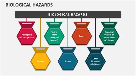 Biological Hazards Powerpoint Presentation Slides Ppt Template