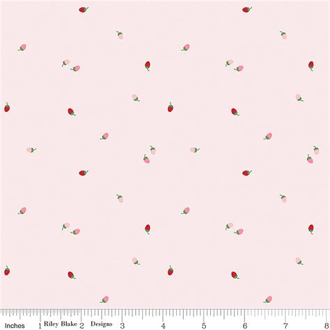 To Grandmothers House Berries Pink Riley Blake Fort Worth Fabric