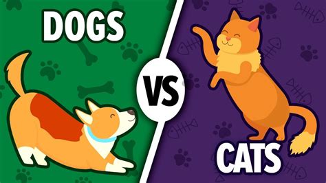 Cats Vs Dogs Which Is The Better Pet Youtube