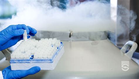 Protocol For Cryopreserving Pbmcs Stemcell Technologies Freezing Es