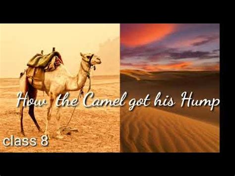 How the camel got his hump. Class 8 How the Camel Got His Hump (supplementary ) - YouTube