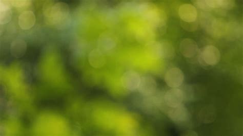 Beautiful Blurry Green Nature Background Stock Footagegreenblurry
