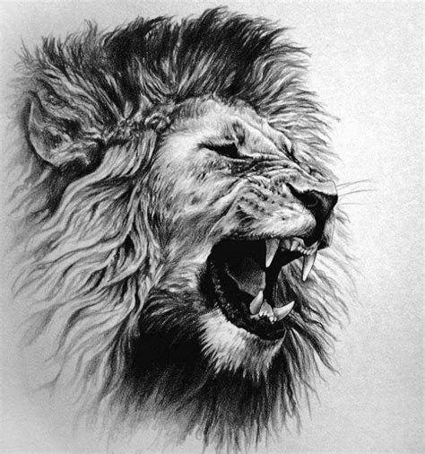 Mens Lion Tattoo Lion Tattoo Lion Sketch