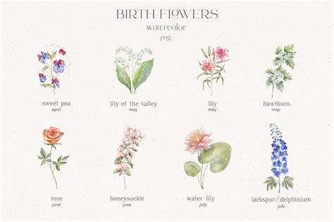 Birth Month Flowers Watercolor And Line Art Plants Wedding Crests