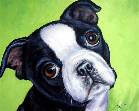 Boston Terrier Pup On Green Painting By Dottie Dracos Fine Art America