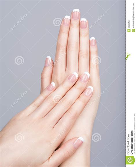 Beautiful Female Hands With French Manicure Stock Image Image Of