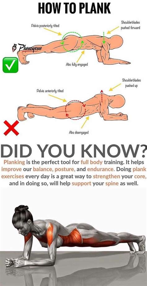 how planking can benefit your body