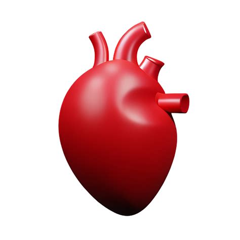 Human Real Heart 3d Rendering Icon Illustration 29170647 Png