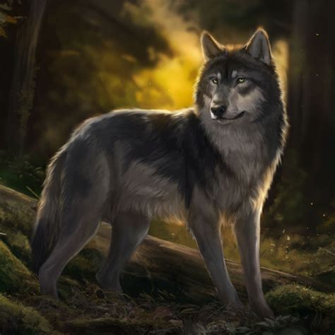 Wolf Pfp By Muns11
