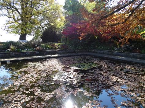 Wir sind auf der suche nach einem grundstück in freising. Oberdieck Garten (Freising) - 2020 All You Need to Know ...