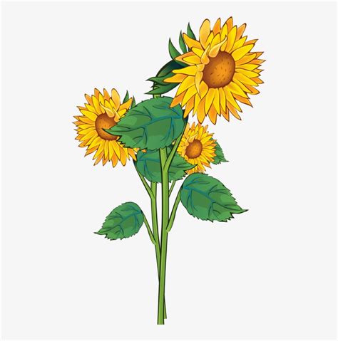 Descobrir 38 Imagem Sunflower Clipart Background Vn