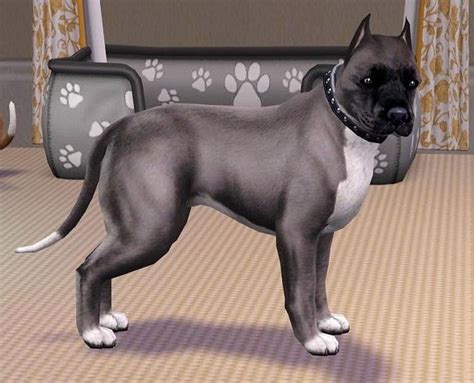 Mod The Sims Blue And White Pitbull Terrier