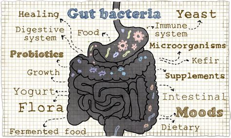 Dysbiosis is also sometimes called dysbacteriosis or bacterial dysbiosis. Bacterial Dysbiosis and Sleep | Gut inflammation, Gut ...