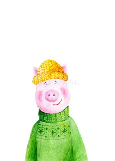 Watercolor Illustration Of A Pig Stock Illustration Illustration Of