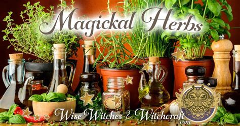 Common Tools For The Teen Witchs Kit Wise Witches And Witchcraft