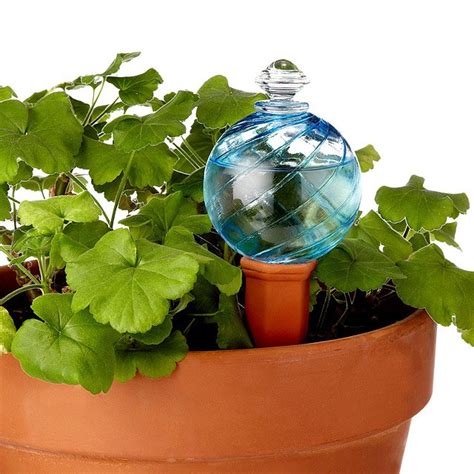 Watering Globe And Plant Nanny Stake Self Watering Planter
