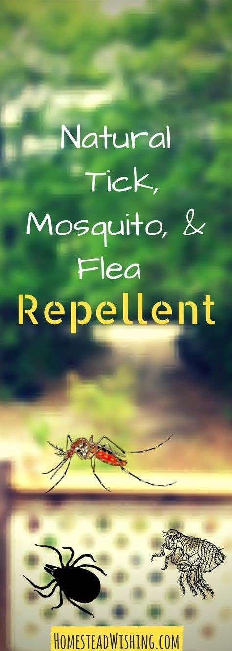 Very simple and easy bug spray is good for all skin. Homemade Bug Repellent Spray | Fleas, Mosquito repellent ...