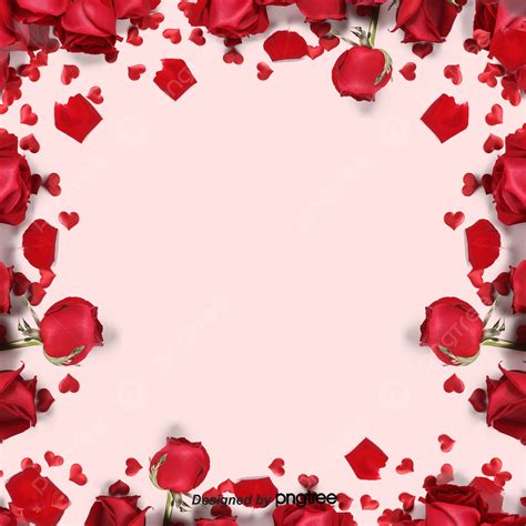 Pink Romantic Rose Petal Background Happy Valentines Day Rose Rose