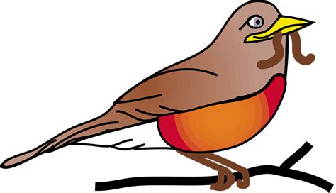 Red Robin Bird Animal Free Vector Graphic On Pixabay