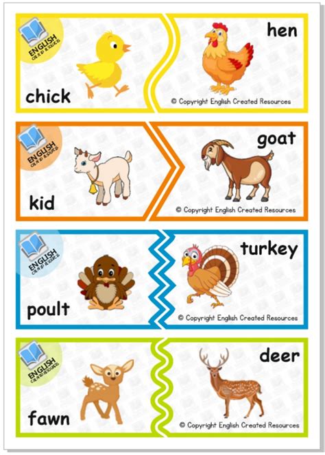 Animals And Their Babies Worksheets