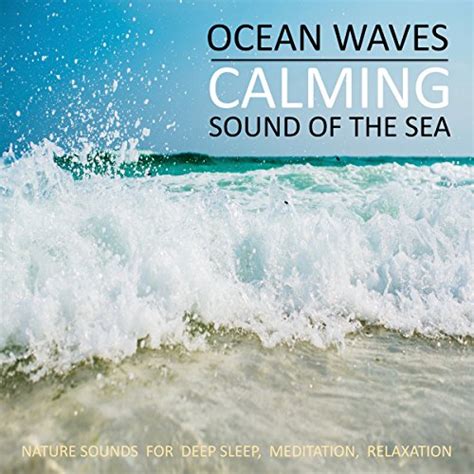Ocean Waves Calming Sound Of The Sea By Patrick Lynen Audiobook