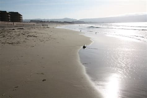 Monterey State Beach Seaside Beach Seaside Ca