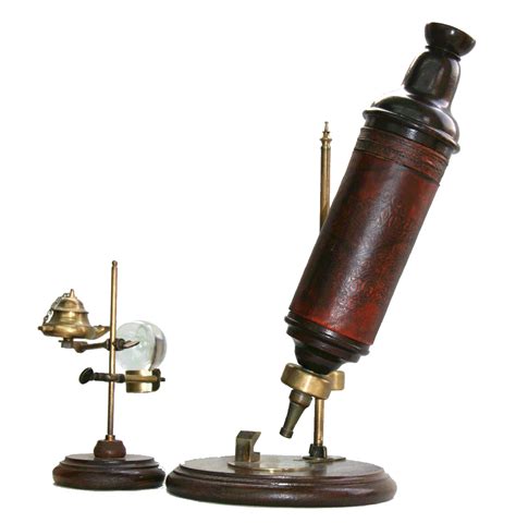 Hookes Microscope Lens On Leeuwenhoek
