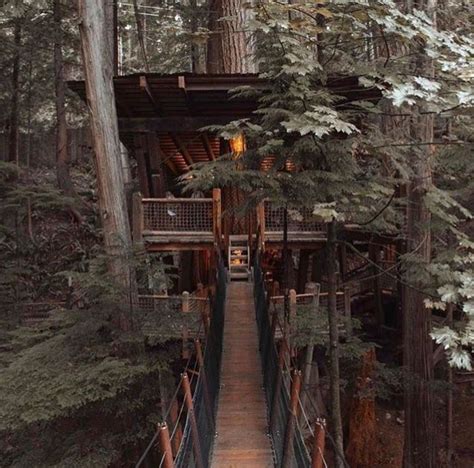 House Goals Tree House Around The Worlds Bucket Lists Photo And