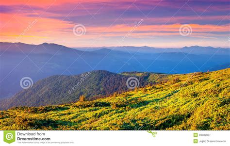 Colorful Summer Sunrise In Carpathian Mountains Stock Image Image Of