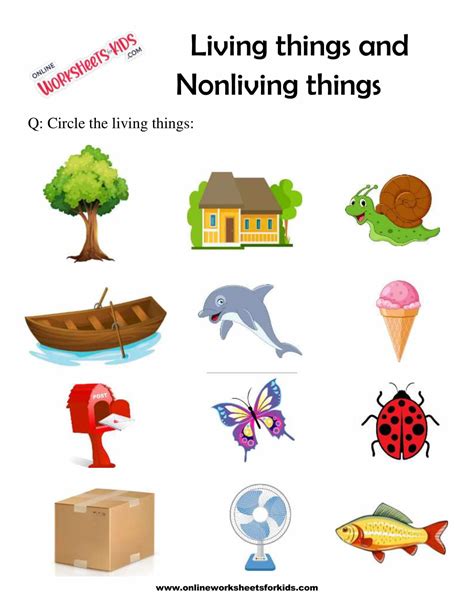 Download Free Living And Non Living Things Worksheet