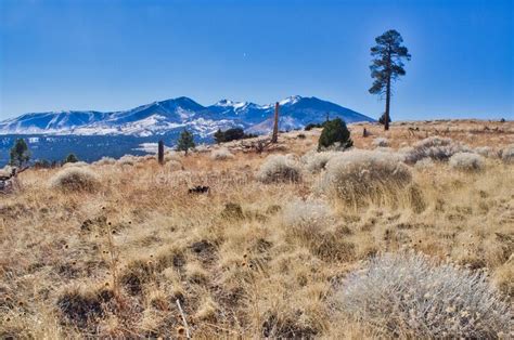 San Francisco Peaks Near Flagstaff Arizona Stock Photo Image Of