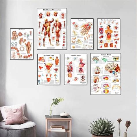 Human Anatomy Muscles System Art Poster Print Body Map Canvas Etsy