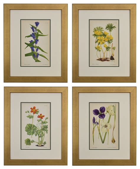 Original Vintage English Botanical Framed Prints Set Of 4