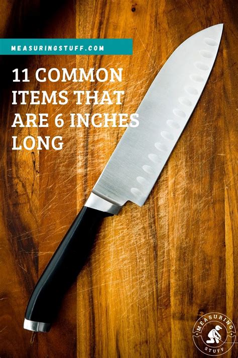 11 Common Items That Are 6 Inches Long Measuring Stuff