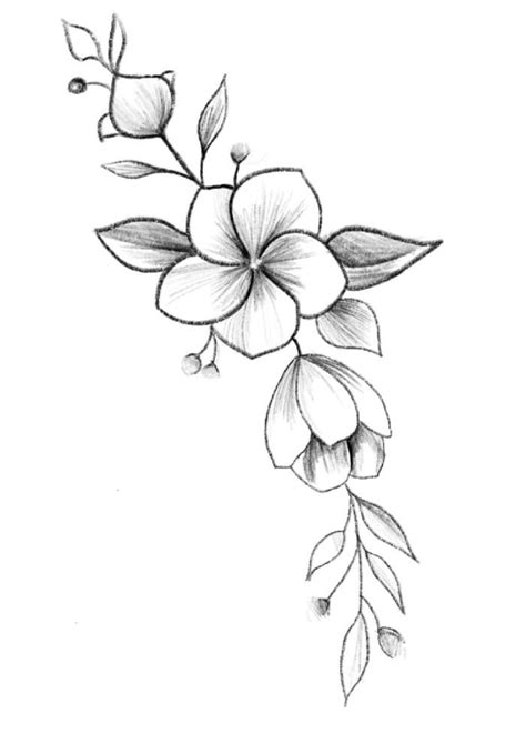 Dibujos Bonitos Y Faciles De Flores Dibujos Bonitos