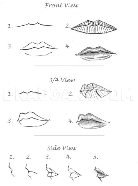 How To Draw Realistic Lips Sketch Lips Step By Step Drawing Guide