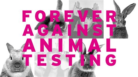Forever Against Animal Testing Join The Fight The Body Shop And