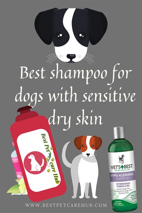 These issues can be easily treated or managed. BEST DOG SHAMPOO FOR ITCHY SKIN | Dog skin allergies, Dry ...