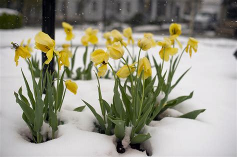 15 Ways To Celebrate The Beginning Of Spring Chym 967
