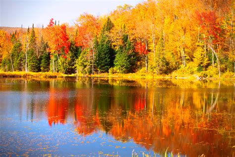 The 10 Best Places In The Usa To See The Foliage This Fall